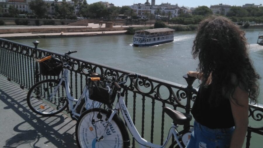 Seville City Bike Tour: Top Seville's Monuments - Jardines de Murillo and the Tobacco Factory: green calm meets landmark power