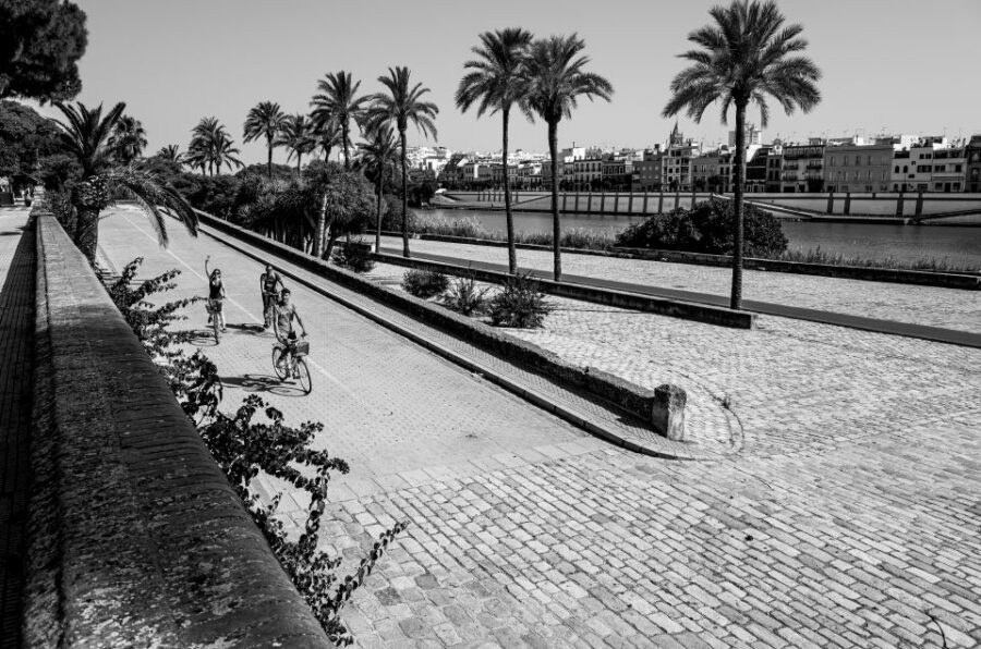 Seville: City Sightseeing and Local Culture Bike Tour - Alcázar stops and the Maria Luisa bridge to the big plaza