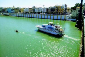 Seville: Cruise along the Guadalquivir River with appetizer - Your onboard choice: deck views vs climate-controlled comfort