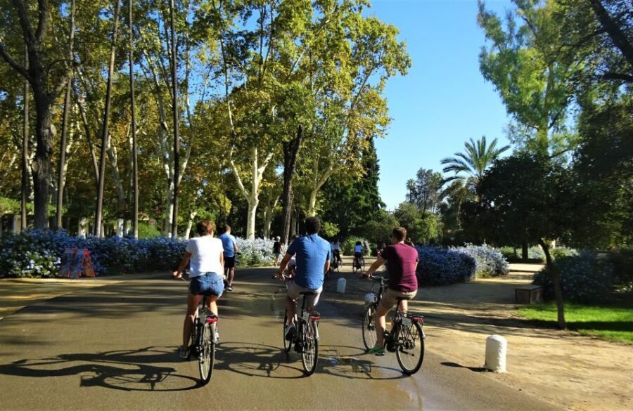 Seville: Electric Bike Tour in Small Group - Should You Book This Seville Electric Bike Tour?
