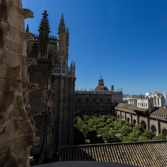 Seville: Fast Track Cathedral Giralda Tower Last minute Tour - Ascending the Giralda Tower: ramp climb and panoramic payoff