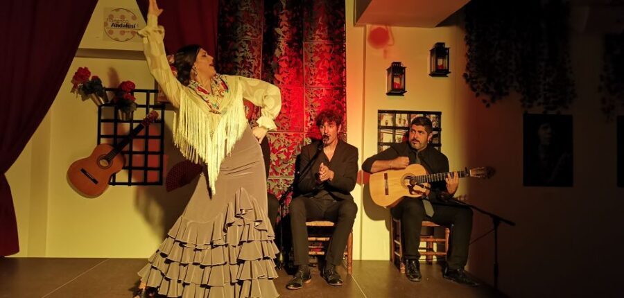 Seville: Flamenco Show at Tablao Flamenco Andalusí - Who This Flamenco Show Is Best For