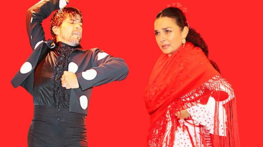 Seville: Flamenco Show at Tablao La Cantaora - Key things to know before you go