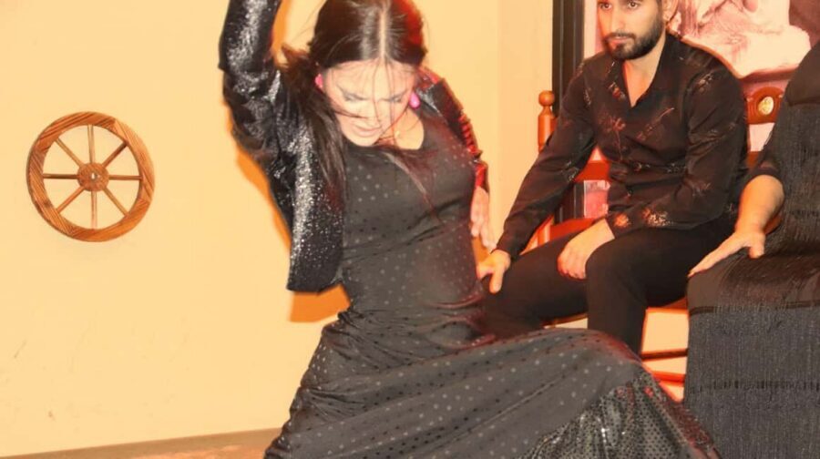 Seville: Flamenco Show at Tablao La Cantaora - What Happens During the 1-Hour Performance