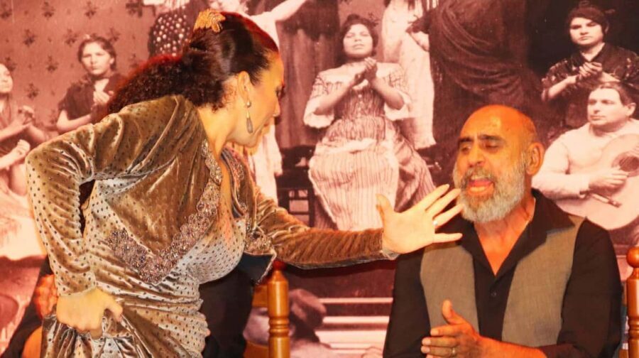 Seville: Flamenco Show at Tablao La Cantaora - Price and Value: Is $28 Worth It?