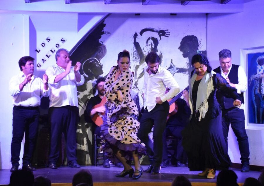 Seville: Flamenco Show at Tablao Los Gallos - The Singing and Guitar: Where the Emotion Starts