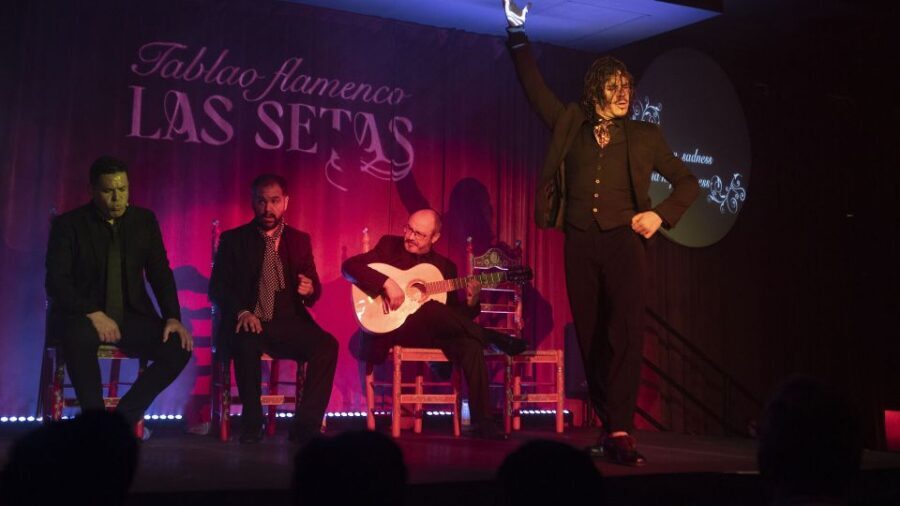 Seville: Flamenco Show & Roof Dinner with Cathedral Views - The 19:45 Show Timing: How to Avoid the Usual Headache