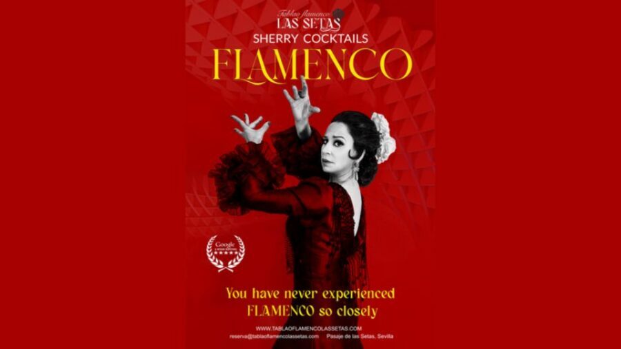 Seville: Flamenco Show Ticket at Tablao Flamenco Las Setas - Tablao Flamenco Las Setas: a modern room for classic flamenco