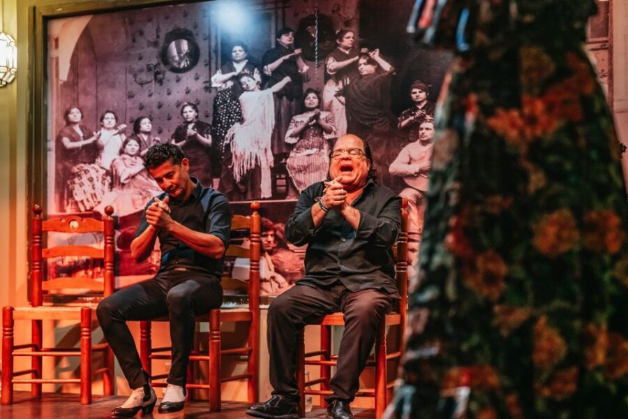 Seville: Flamenco Show with Andalusian Dinner at La Cantaora - Should you book this Seville flamenco dinner at La Cantaora?