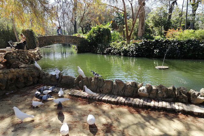 Seville Full Day Tour - What you’re really paying for: guide fee vs. entrance tickets