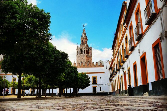 Seville Full Day Tour - Starting point at Plaza del Triunfo, then into Alfalfa square