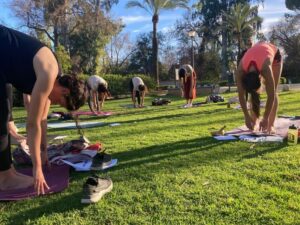Seville: Group Yoga classes All levels - in French - What you do during the 1-hour group class