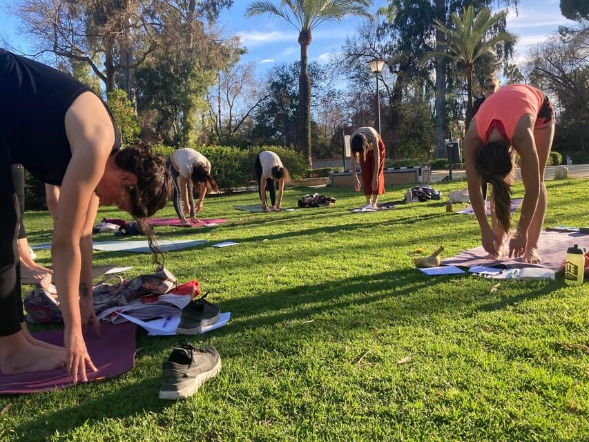 Seville: Group Yoga classes All levels - in French - What you do during the 1-hour group class