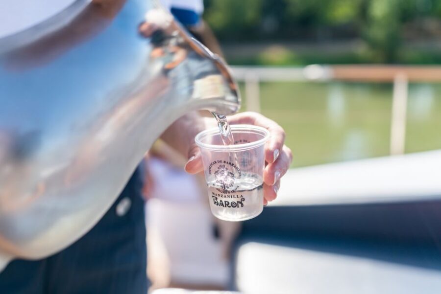 Seville: Guadalquivir Boat Tour with Optional Lunch/Dinner - Who This Seville River Cruise Fits Best
