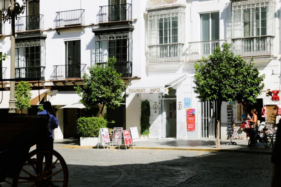 Seville: Guided Tour of Cathedral of Seville & Giralda Tower - Who this tour suits best (and who should pick another plan)