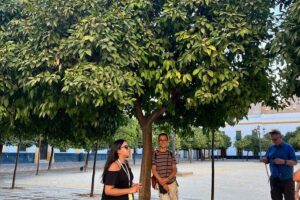 Seville Highlights Private Walking Tour - Cathedral and Giralda area: what you get when entry isn’t part of the plan