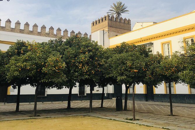 Seville Highlights Private Walking Tour - How to get the most out of a short private walk