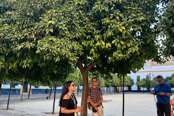 Seville Highlights Private Walking Tour - Cathedral and Giralda area: what you get when entry isn’t part of the plan