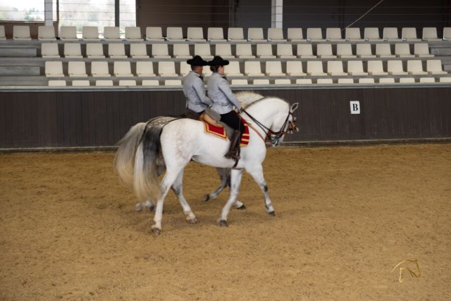 Seville: Horse's Show Entry Ticket. Optional Stud Farm Visit - Key takeaways before you go