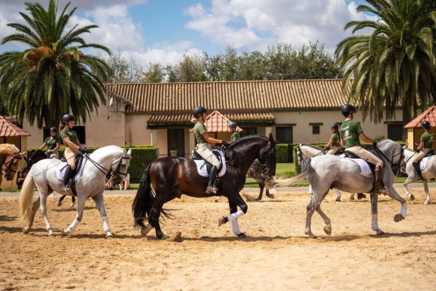 Seville: Horse's Show Entry Ticket. Optional Stud Farm Visit - FAQ
