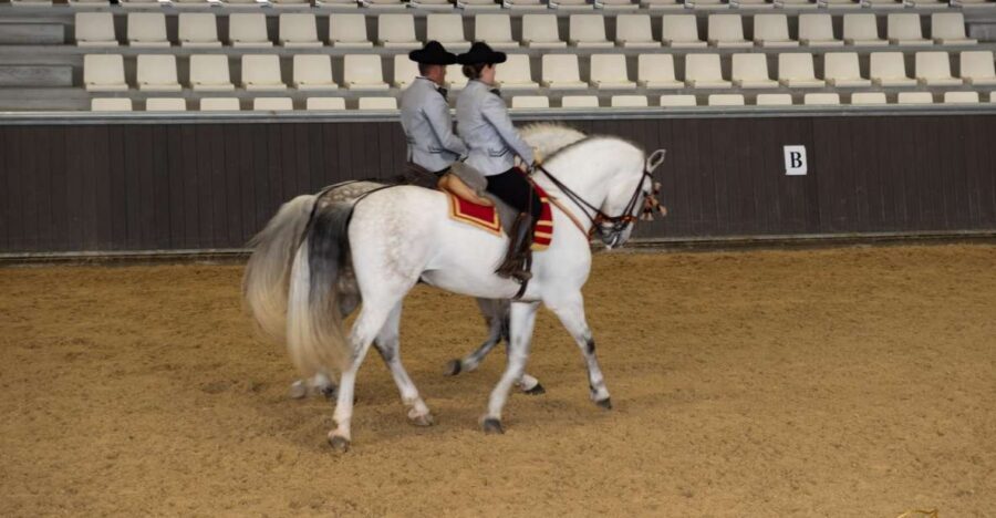 Seville: Horse's Show Entry Ticket. Optional Stud Farm Visit - Story of a Champion: seven human-values stops, explained in everyday terms