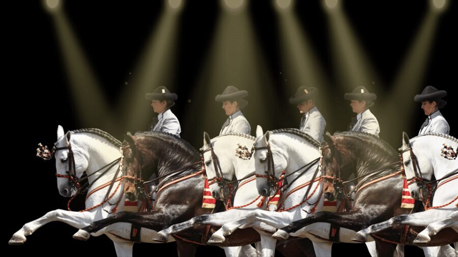 Seville: Horse's Show Entry Ticket. Optional Stud Farm Visit - The TRADITIONS show: where the partnership becomes the point