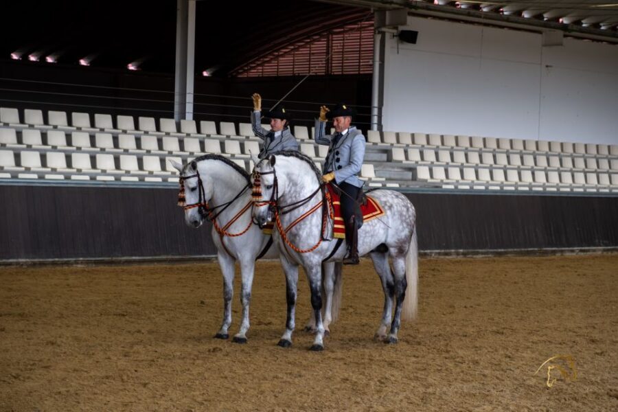 Seville: Horse's Show Entry Ticket. Optional Stud Farm Visit - Should you book the Seville horse show with optional Story of a Champion?