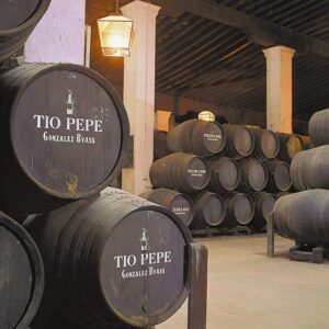 Seville: Jerez, Cadiz Wine Tasting with Optional Horse Show - Morning Pickup and Getting to Jerez Without Stress