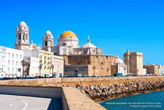 Seville: Jerez, Cadiz Wine Tasting with Optional Horse Show - How Sherry Lands in Your Glass: What to Pay Attention To
