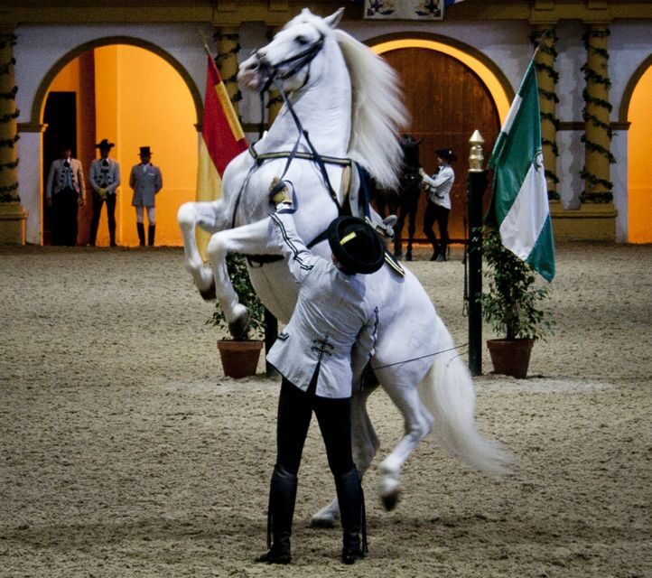Seville: Jerez, Cadiz Wine Tasting with Optional Horse Show - Transportation, Timing, and Seating Reality Checks