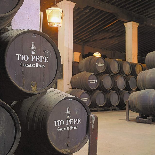 Seville: Jerez, Cadiz Wine Tasting with Optional Horse Show - Morning Pickup and Getting to Jerez Without Stress