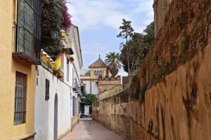 Seville Jewish Quarter Tour (Private Tour) - Plaza Patio de Banderas: Where Alcázar Memories Live