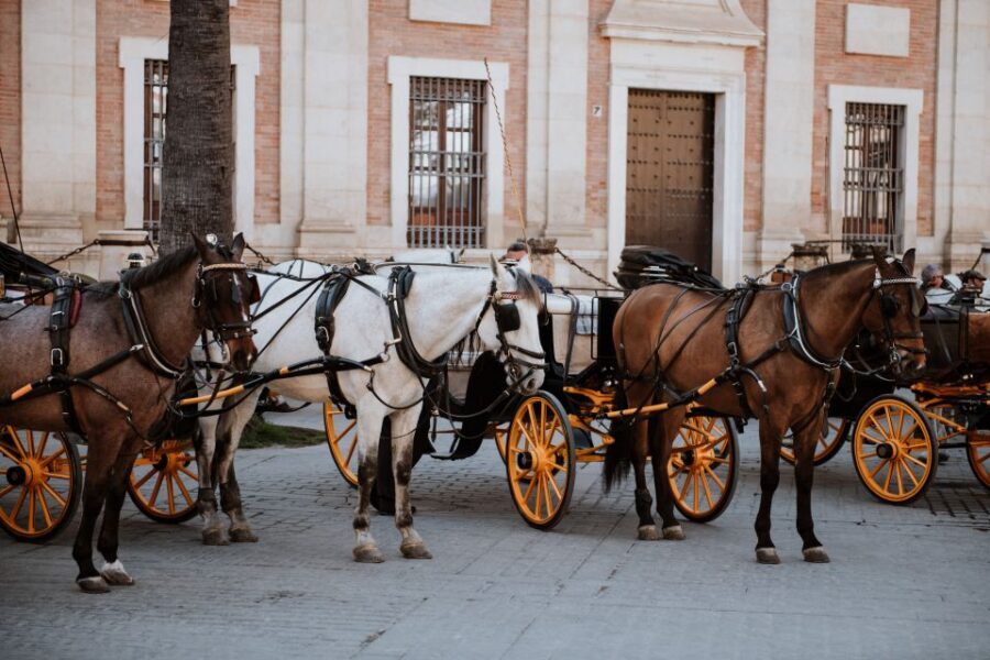 Seville Jewish Quarter walking tour: Santa Cruz District - Plaza de Doña Elvira and its orange-tree pause