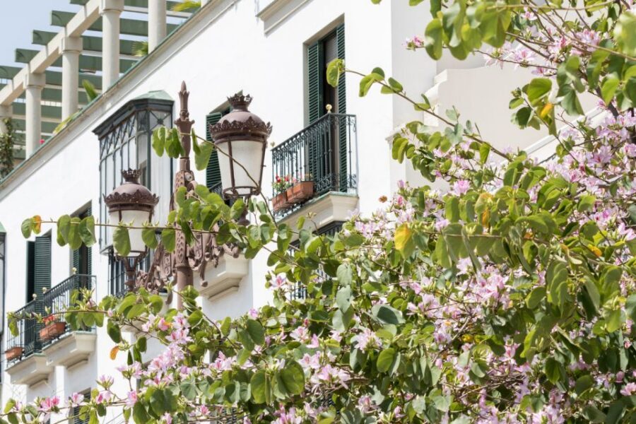 Seville Jewish Quarter walking tour: Santa Cruz District - Calle Susona: where legend meets a real street