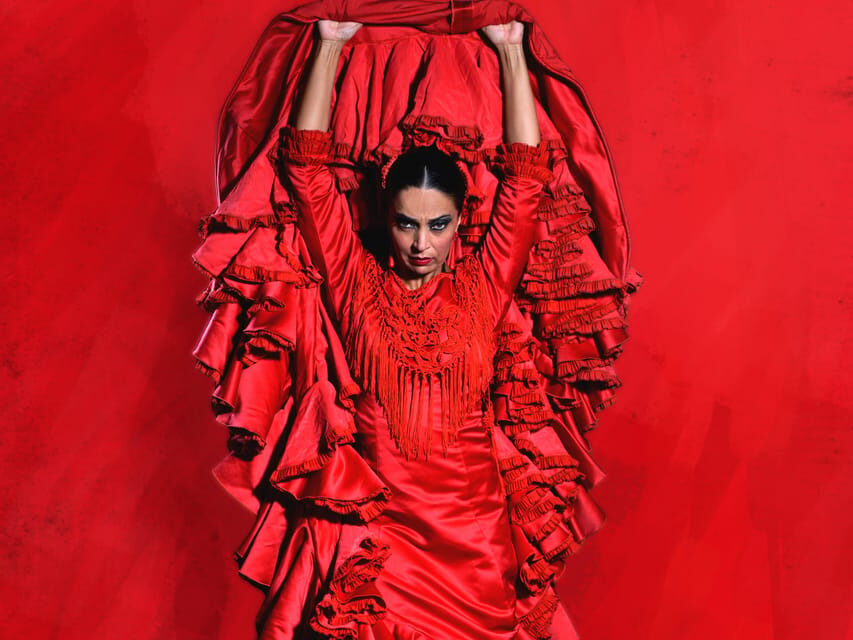 Seville: Live Flamenco Dancing Show Ticket at the Theater - Key things to know before you go
