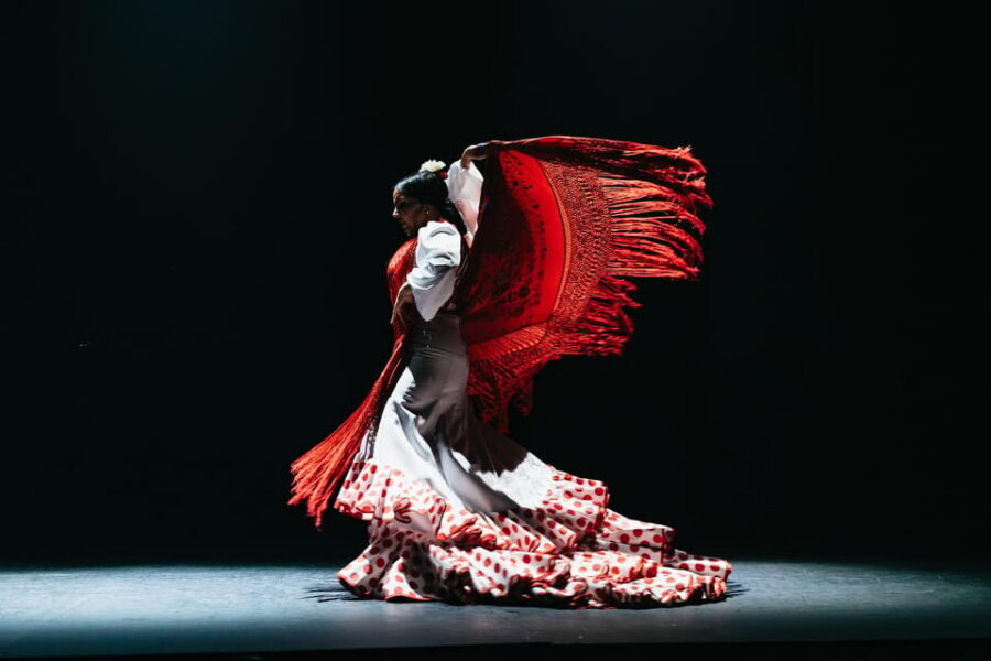 Seville: Live Flamenco Dancing Show Ticket at the Theater - Flamenco in Seville: why a theater show is worth your time