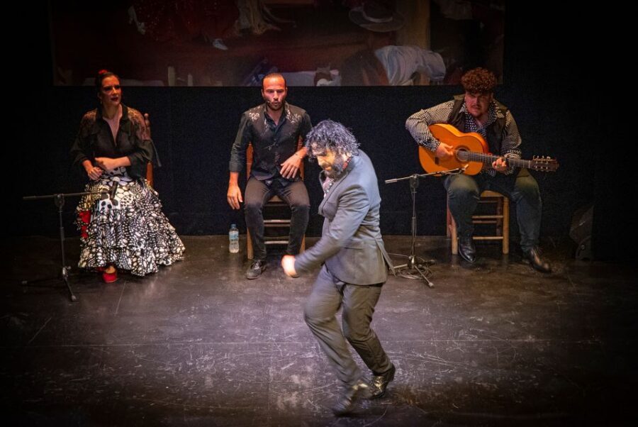 Seville: Live Flamenco Show at "Teatro Flamenco Triana" - Live Music Details You’ll Actually Hear (Not Just Background Noise)
