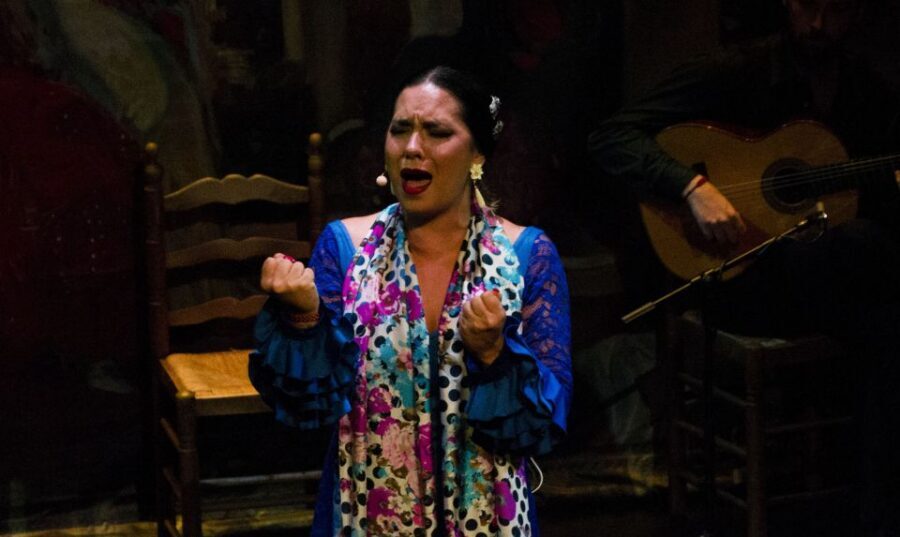 Seville: Live Flamenco Show at "Teatro Flamenco Triana" - Special Notes for Wheelchair Guests
