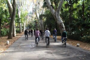 Seville: María Luisa Gardens 3–Hour Tour with Picnic Lunch - Why this 3-hour format works in Seville