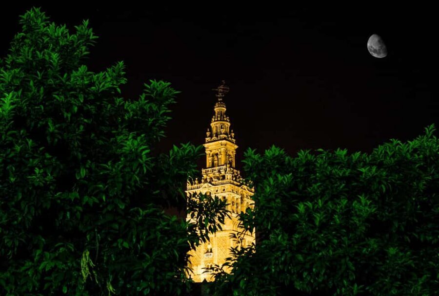 Seville Night Tour A Must See - From Bank-of-Spain energy to Cathedral scale