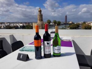 Seville: Paella Showcooking Experience - Your first taste in Seville: local wines and Andalusian snacks