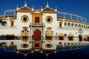 Seville Panoramic Walking Tour - Real Fábrica de Tabacos and Carmen: history with pop-culture gravity