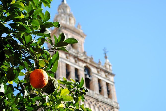 Seville Panoramic Walking Tour - Gold Tower, the bullring, and the Guadalquivir river walk