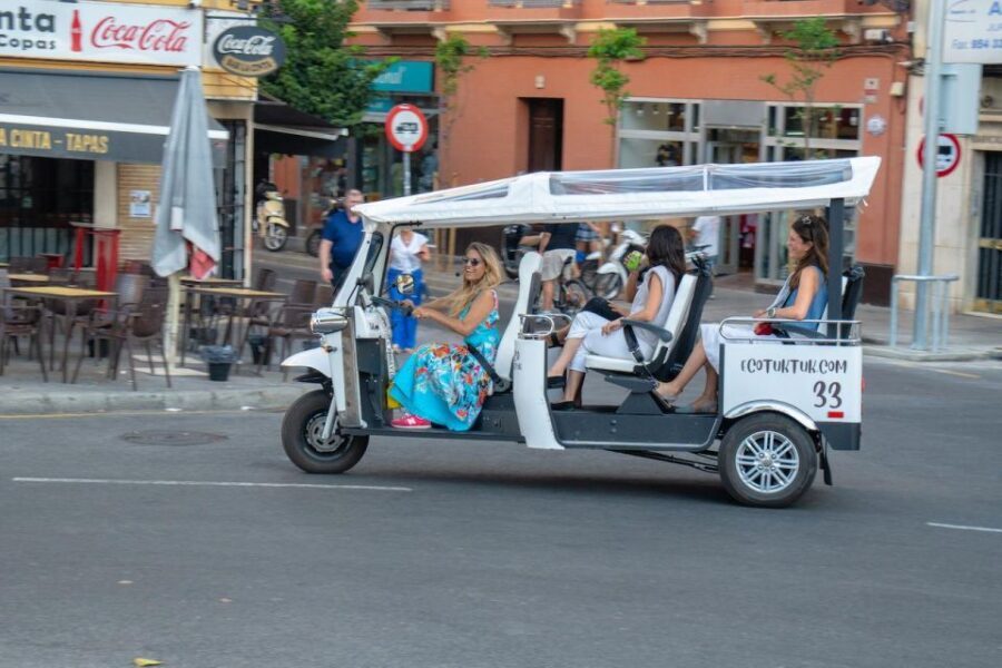 Seville: Private City Tour by Eco Tuk Tuk - Who this Seville Tuk Tuk tour is for