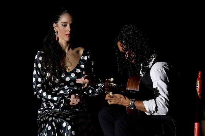 Seville Pure Flamenco Tour - Price and value: $42.97 per person in Seville
