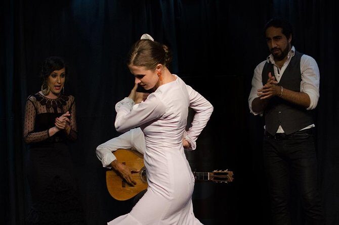 Seville Pure Flamenco Tour - Who should book this Seville Pure Flamenco tour