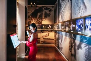 Seville: Puro Flamenco Show with Optional Museum Ticket - The Show Itself: Alegrías, Castanets, and Live Music That Lands