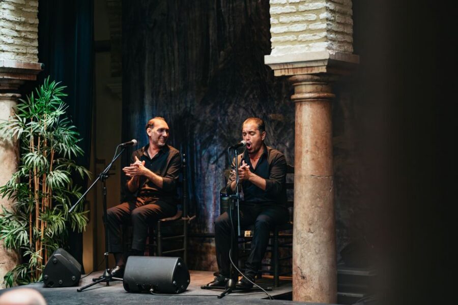 Seville: Puro Flamenco Show with Optional Museum Ticket - Price and Value: Is $34 Actually a Deal?