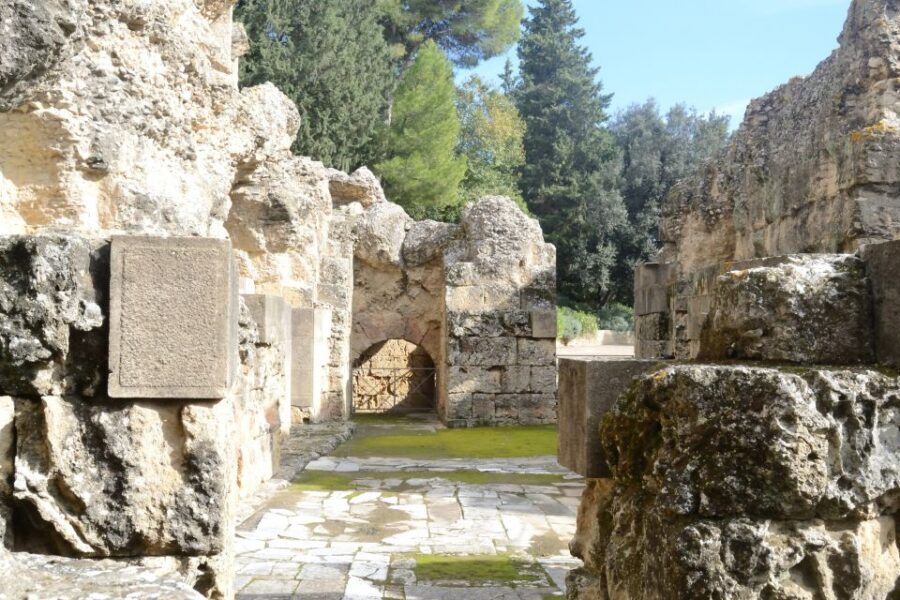 Seville: Roman City of Itálica 2 Hour Tour - The guide experience: small group, multiple languages, real Q&A