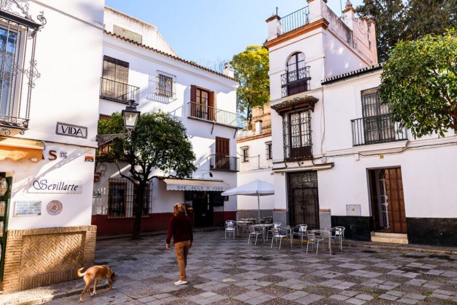 Seville: Santa Cruz Old Jewish Quarter Walking Tour - Meet at Av. de la Constitución: how the walk starts and keeps moving